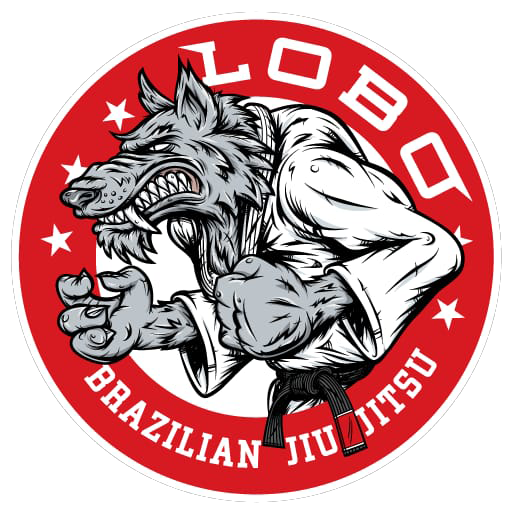 BJJ GI, BJJ GIS, Rashguard, Jiu Jitsu Belts, BJJ Barrow in furness, Kids Classes barrow in furness, NO GI BJJ, Rashguard BJJ, NO-GI BJJ, BJJ Shorts, Gym Barrow in furness, Grappling barrow in furness